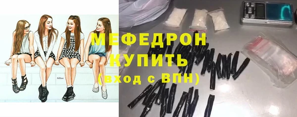 индика Арсеньев