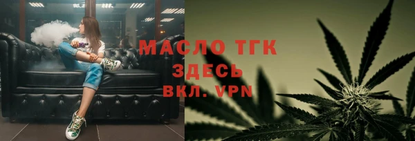 индика Арсеньев