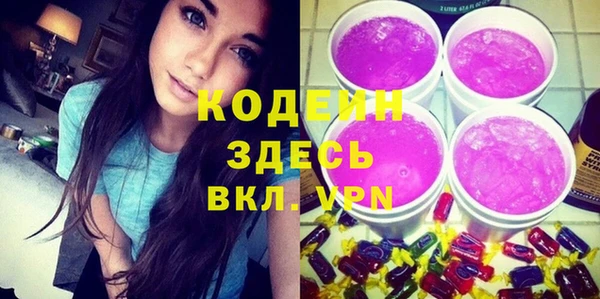 индика Арсеньев