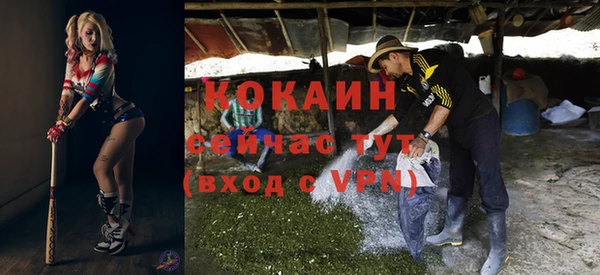 индика Арсеньев