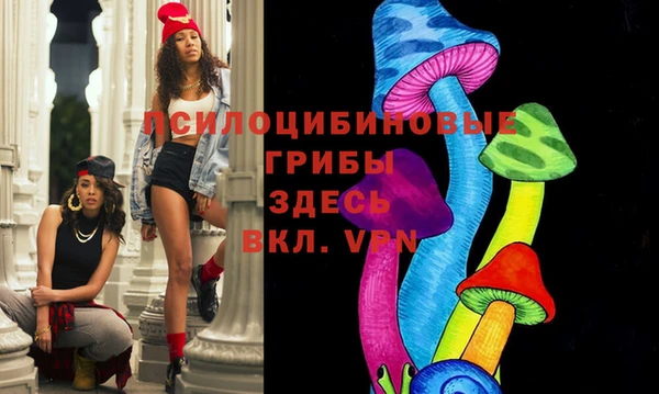 индика Арсеньев