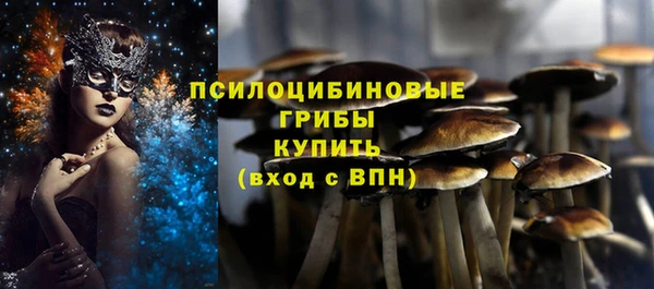 индика Арсеньев