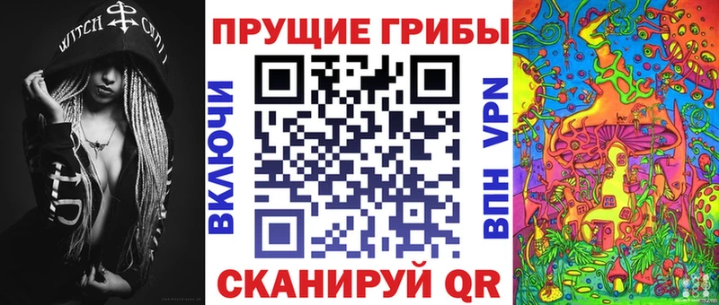 где купить наркоту  Сусуман  Галлюциногенные грибы Cubensis 